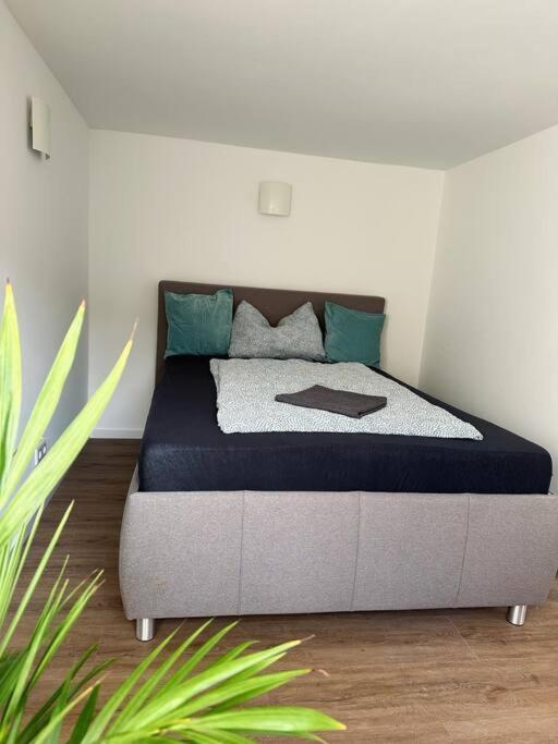 Apartment Business Naehe Bonn Königswinter