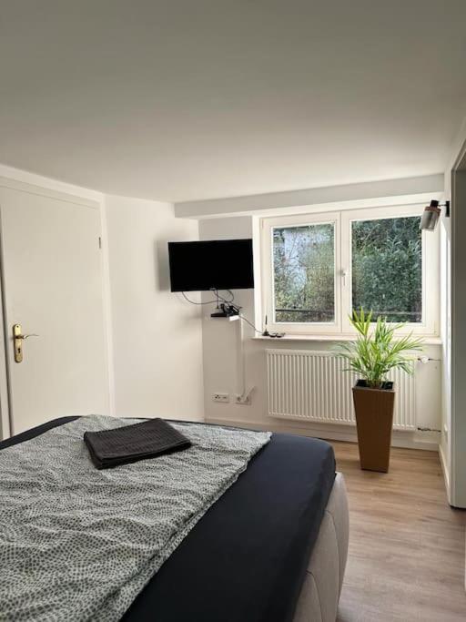 Appartamento Business Naehe Bonn Königswinter